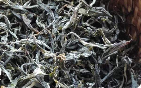 图为:栽培型茶叶毛茶还有一个很多茶友关心的问题,即在法律上野生茶